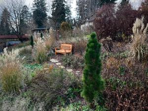 IMG-20251121-WA0007